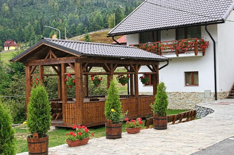 Pensiunea Vraja Muntelui Arieseni Bagian luar foto